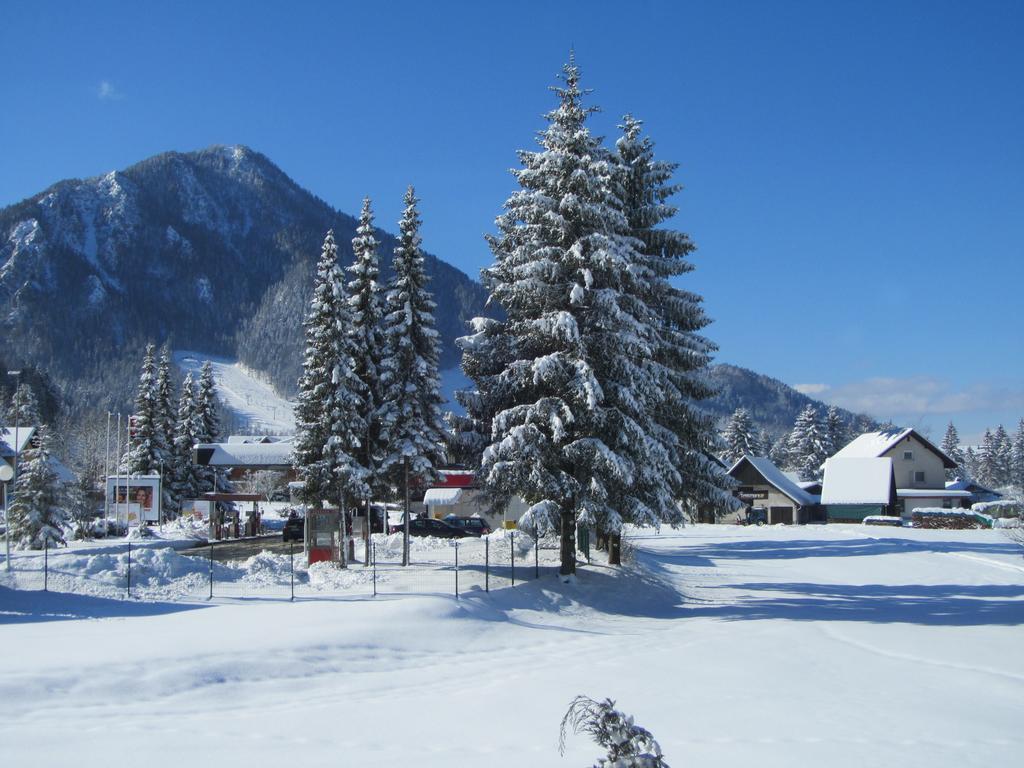 Apartments And Rooms Milena Kranjska Gora Rom bilde